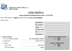 An image of a credit report.