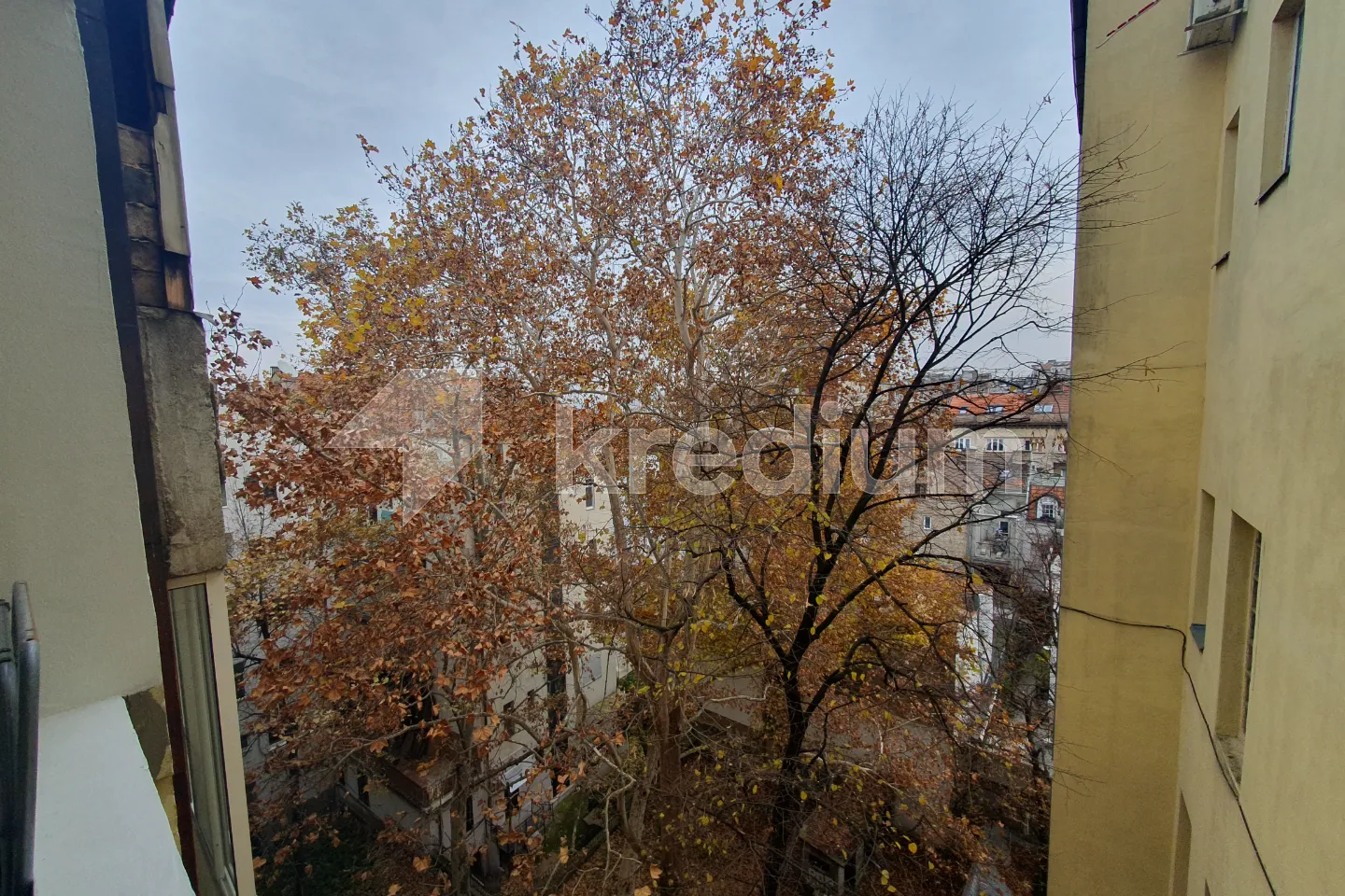 20241127_123447_6749b6d23c303.webp