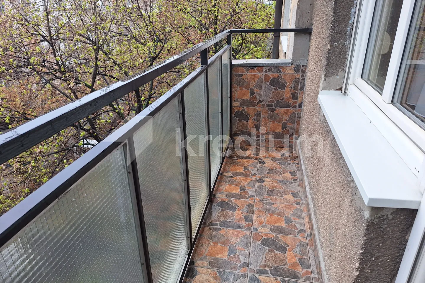 WhatsApp Image 2025-03-25 at 12.06.07 PM (2)_67e293bbd6598.webp